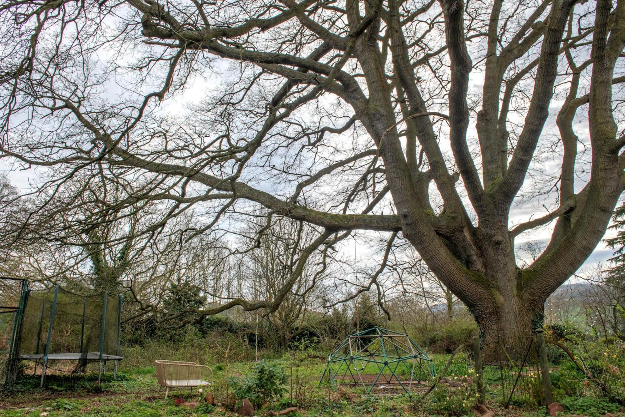 Fairy Cottage Lea Bagian luar foto